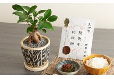 日比谷花壇キャンペーン1