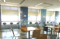 Kddi株式会社 派遣の仕事 求人なら マンパワーグループ