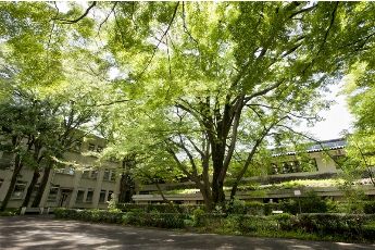 武蔵学園_3